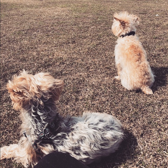 Meet your Posher, Whitney - Picture 1 of 1